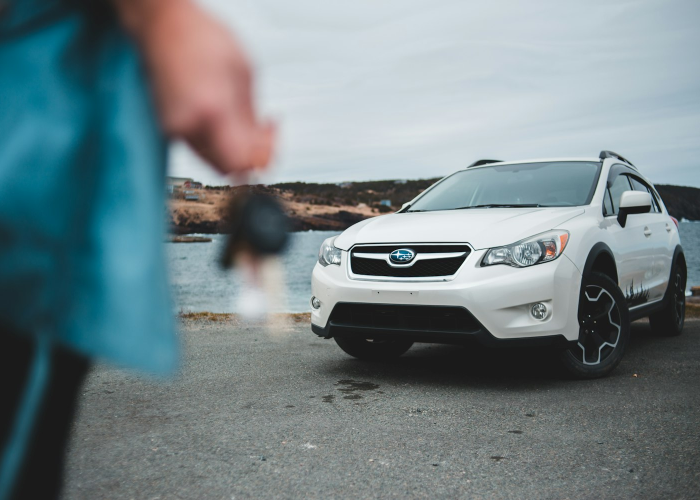 广州机动车违章查询官方网站/广州车辆交通违章查询系统