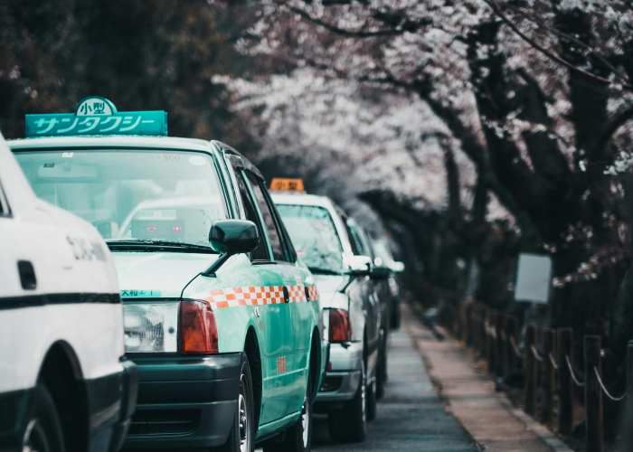 广州机动车违章查询官方网站/广州车辆交通违章查询系统