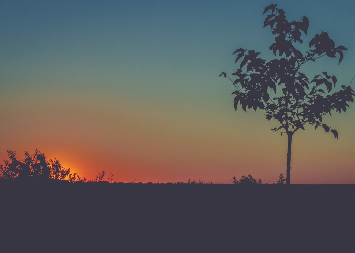 在阴凉处晒太阳，一场关于阳光与健康的微妙平衡