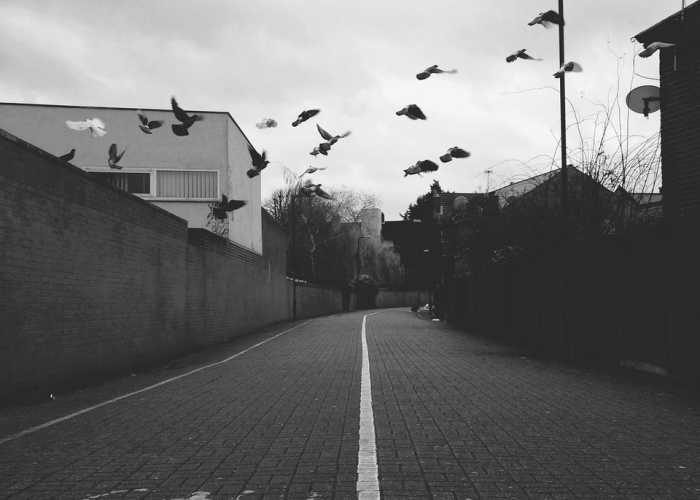 免费通行背后，一条高速公路上的春节迁徙与时代温度