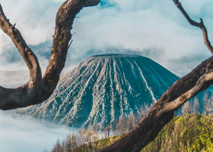 如何高效查询KY8202航班动态？这份全指南请收好