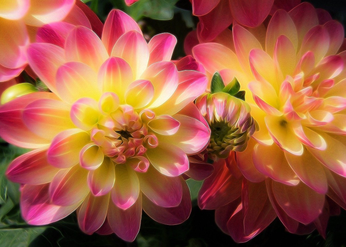 一年四季生肖是什么生肖:一年四季的生肖是哪一个生肖 一年四季生肖是什么生肖:一年四季的生肖是哪一个生肖