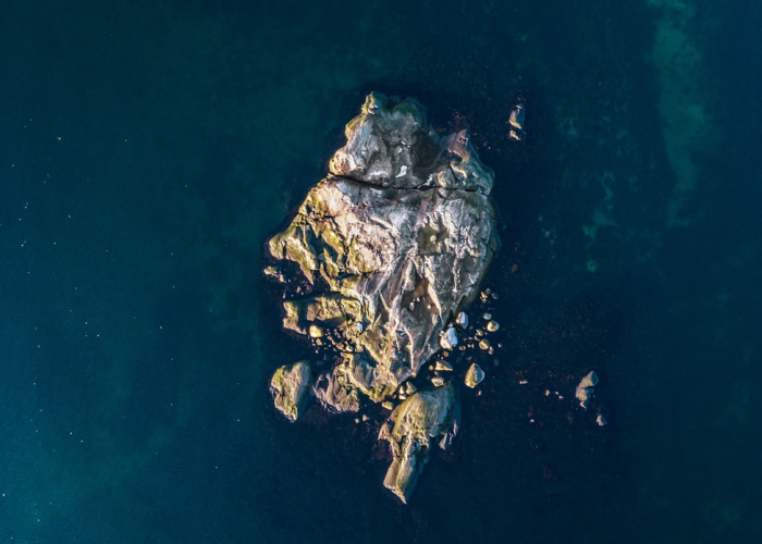 上海公共卫生中心包袋最新动态/上海的公共卫生中心