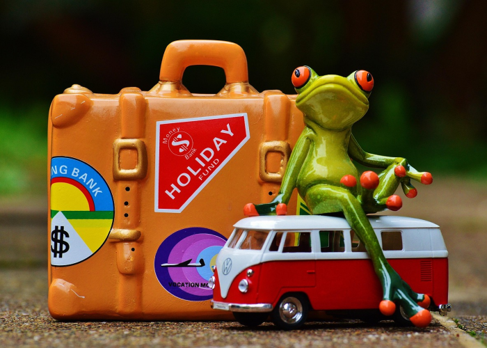 指尖上的交管，深圳机动车违章网上查询全攻略，让违章处理告别奔波