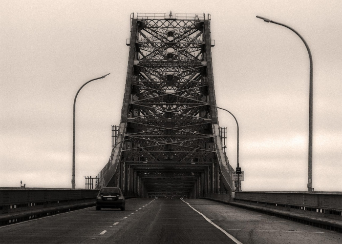 上海招考热线2021，数字桥梁上的梦想与温度