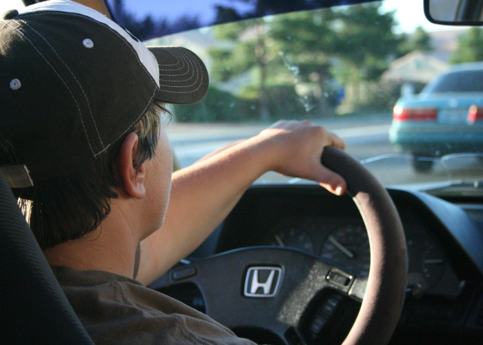 小汽车摇号最新结果查询指南，官网下载与查询全流程解析