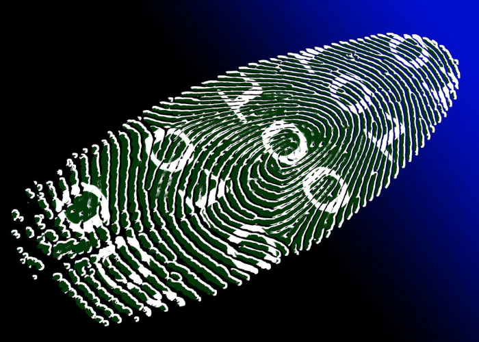 2025年5月22日，一个连接生物多样性、科技与纪念的特殊交汇点