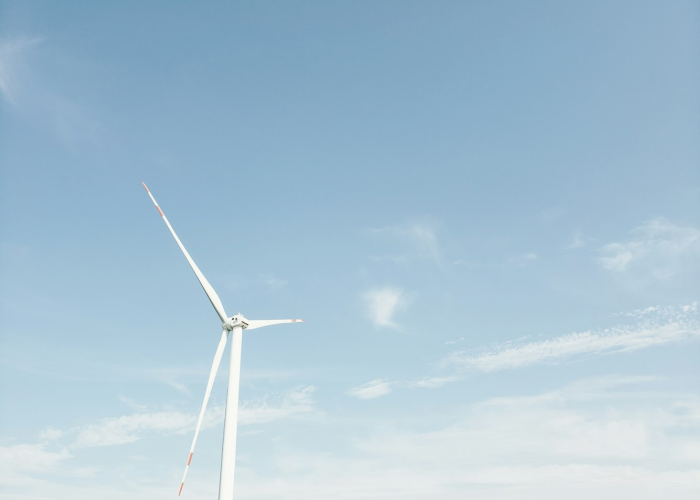 2025年5月22日，一个连接生物多样性、科技与纪念的特殊交汇点