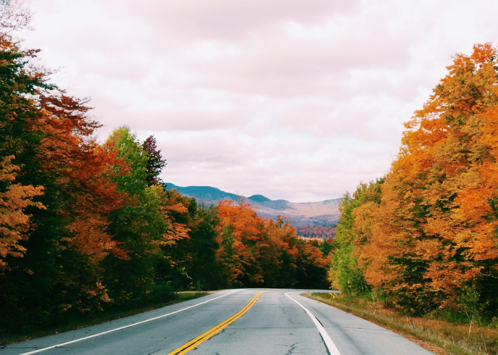 五一可以跨省自由行旅游吗/五一可以跨省自由行旅游吗现在