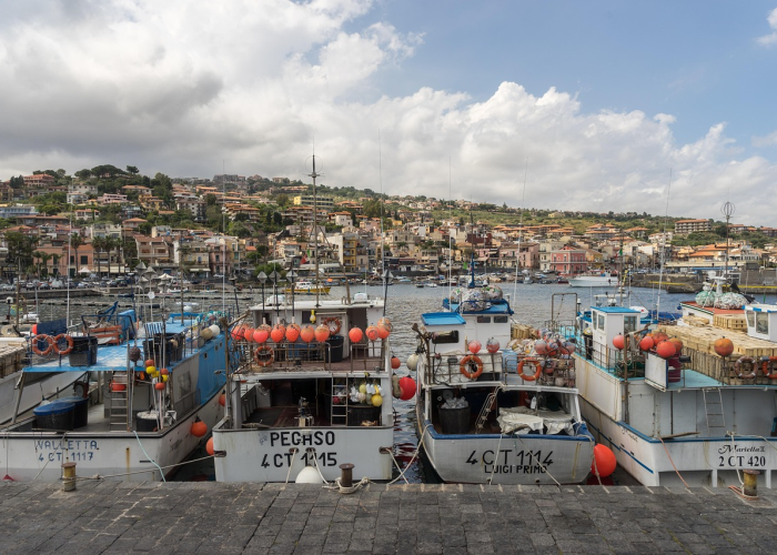 【泉州市疫情最新消息今天,泉州市疫情最新情况】