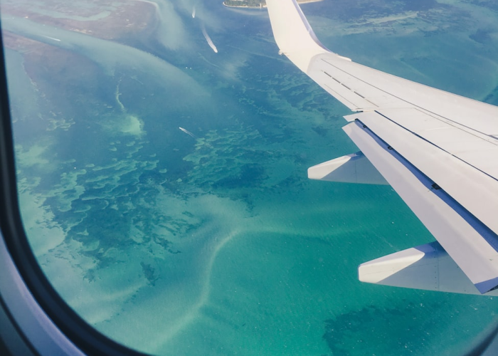 【现在坐火车飞机需要健康码吗/现在坐火车飞机需要什么手续】