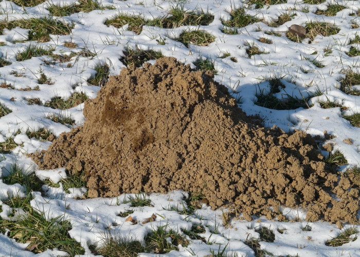 河南春节天气展望，晴冷为主，局地有弱降雪，出行需防寒