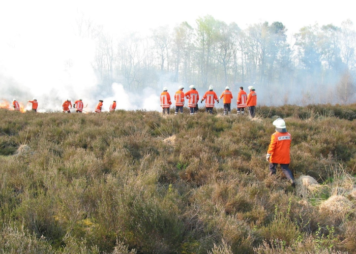 大连庄河疫情，一场与时间赛跑的包围战