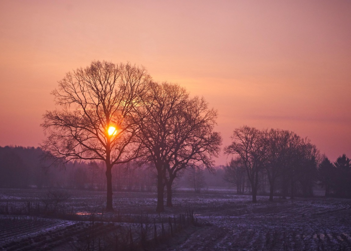不得出省令下，被折叠的远方与安放的生活