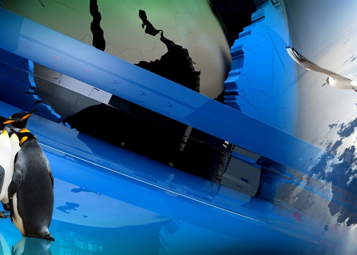 Siesh游戏，虚拟世界中的自我重塑与社交实验