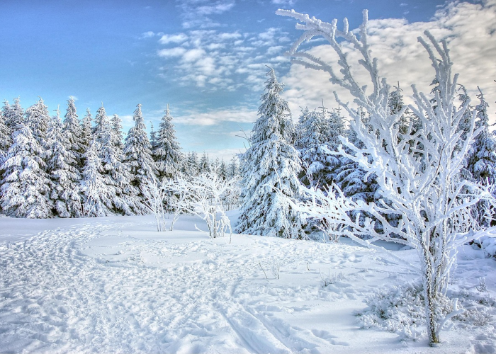 被按下暂停键的冬日，天宫院疫情下的坚韧与温度