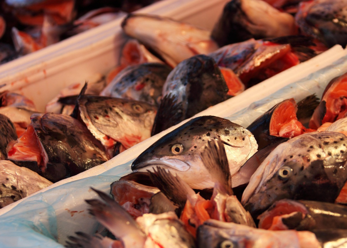 华南海鲜市场老板死亡原因（华南海鲜市场老板死亡原因是什么）