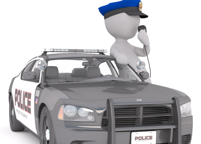 天竺鼠车车图鉴（天竺鼠车车人物介绍）