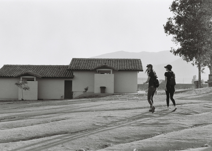 当青春与国运共振，全国大学生大运会的时间密码