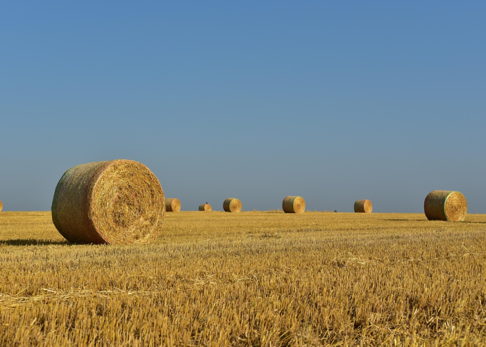 江苏省内流动，还需画地为牢吗？