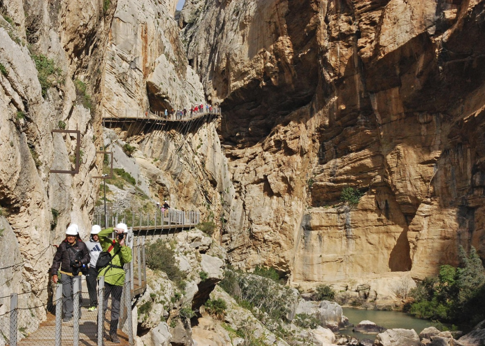 西安中高风险地区查询，动态地图与官方渠道全指南