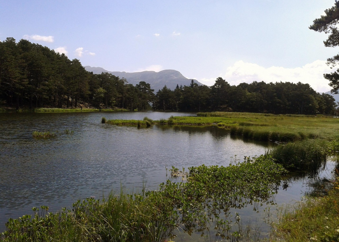 南宫市属于哪个地级市（南宫市是那个省那个市）