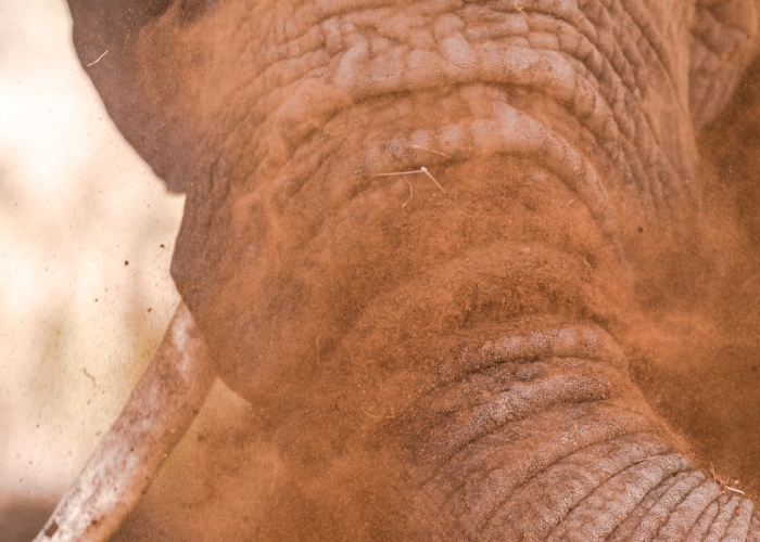 中国霍乱大流行/中国霍乱流行区