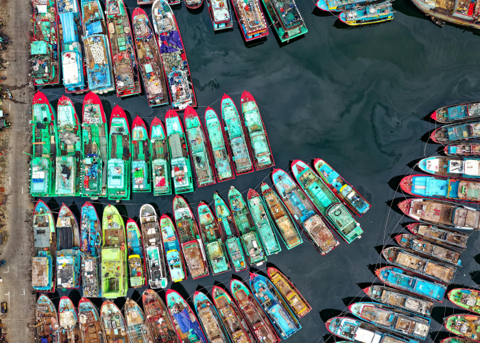 荣昌最新动态，区域发展再提速，产业升级与民生改善并进