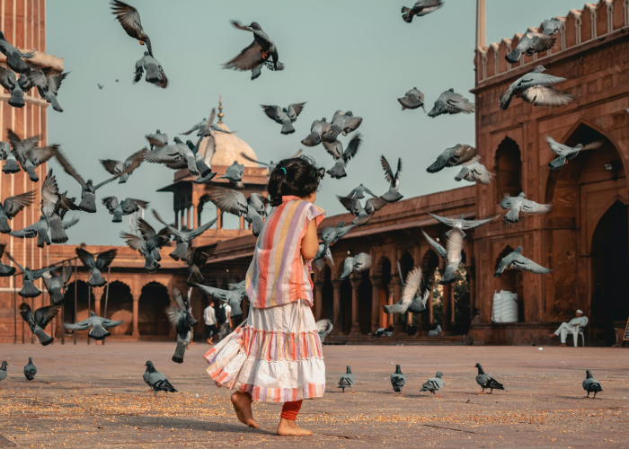 北京奥运会开幕式完整版哪里有/奥运会开幕式 北京 北京奥运会开幕式完整版哪里有/奥运会开幕式 北京