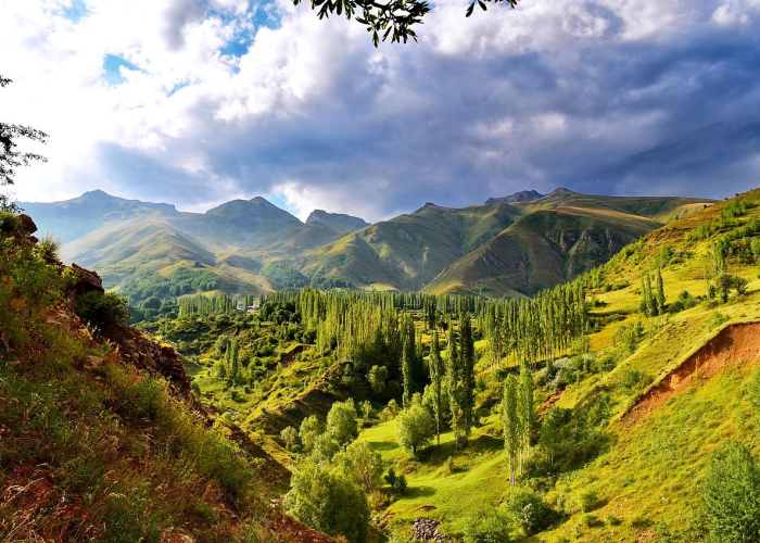 新巴尔虎右旗，近期事故敲响草原安全警钟