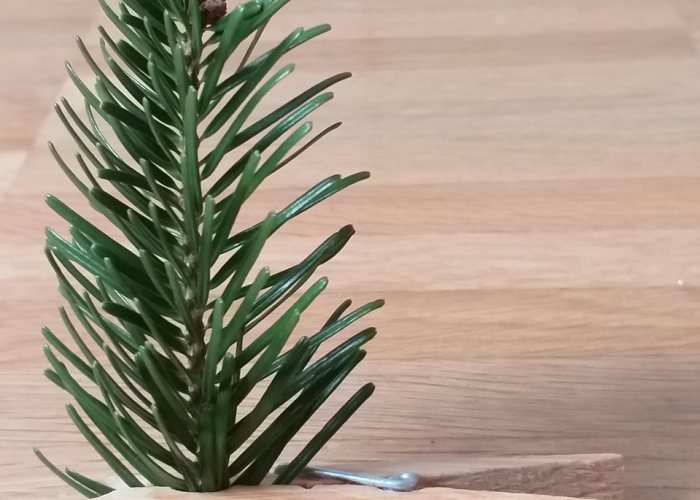 【全国最新疫情分布图最新动态,全国最新疫情分布图来了】