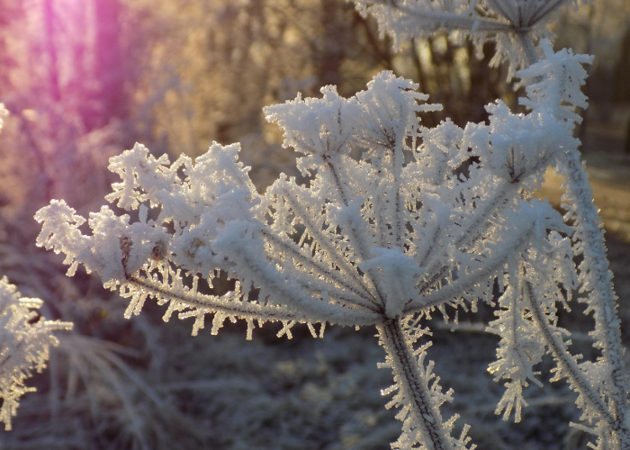 浙江新冠肺炎实时动态/浙江新冠肺炎最新动态
