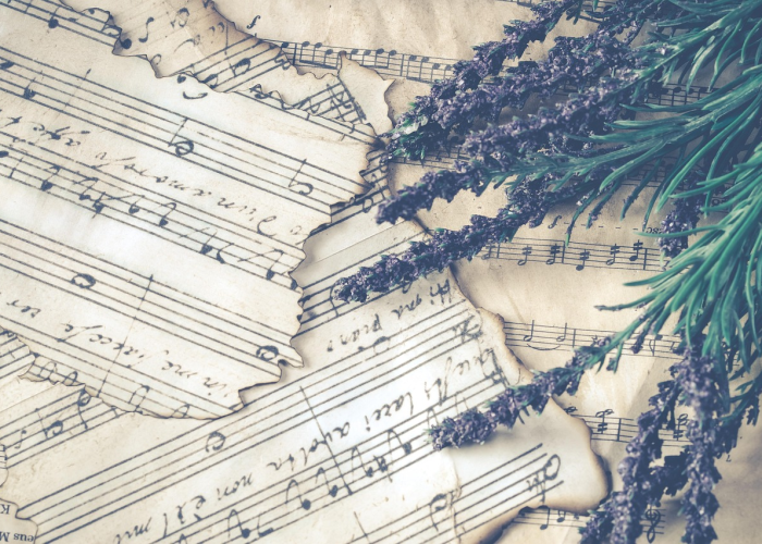 2020年全世界死于新冠肺炎的人数是多少:全世界死于新冠肺炎总人数 2020年全世界死于新冠肺炎的人数是多少:全世界死于新冠肺炎总人数