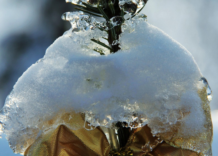 冰雪集结号，2021冬奥参赛国背后的团结与梦想