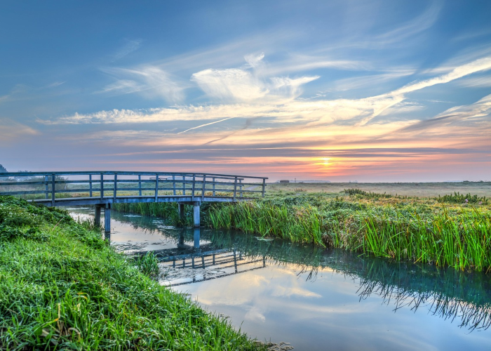 【青岛一中榉林校区,青岛一中榉林校区是公立还是私立】