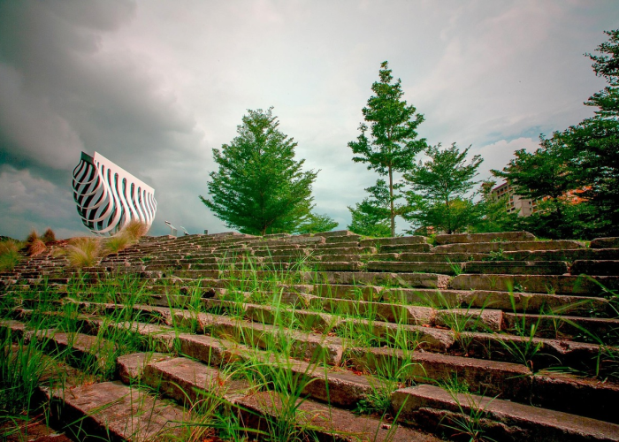 西双版纳疫情，雨林边城的静与动