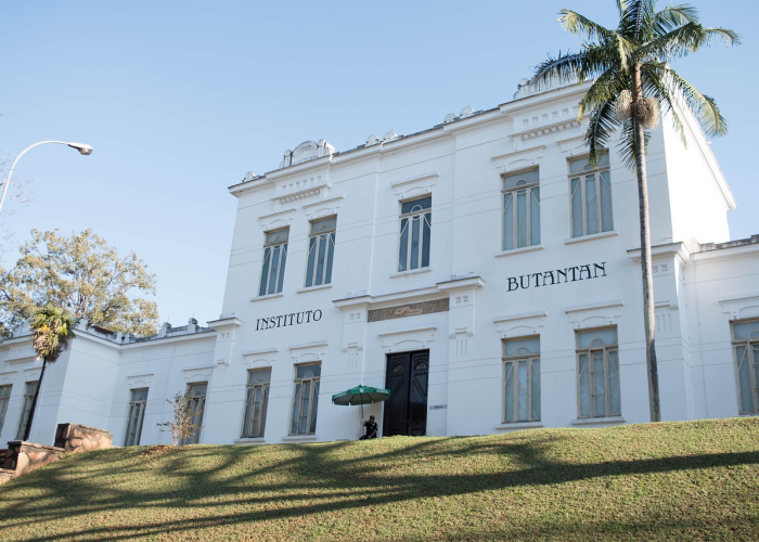 变异毒株最新动态，全球疫情迎来新一轮挑战