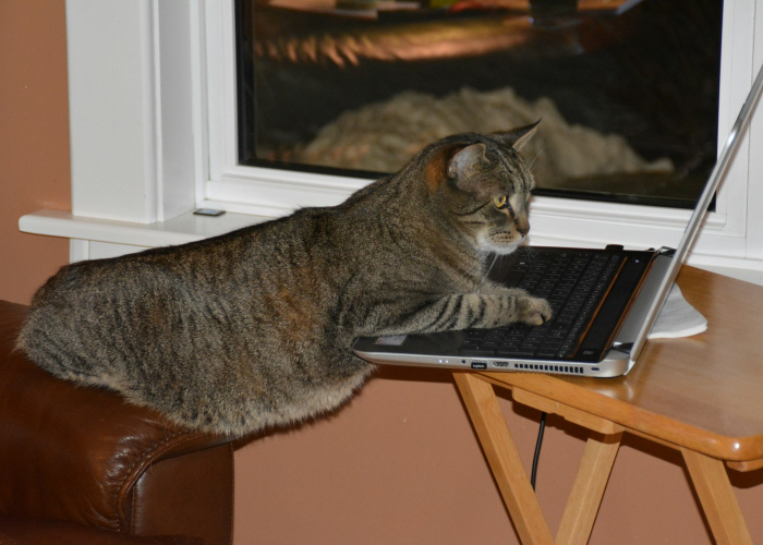 北京疫情动态，科学防控下的病例数据与城市韧性