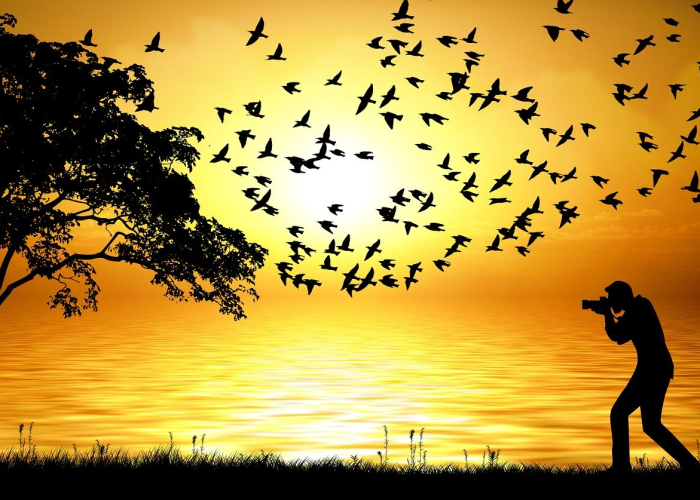 死亡人数超36人，一个数字背后的制度拷问与文明底线