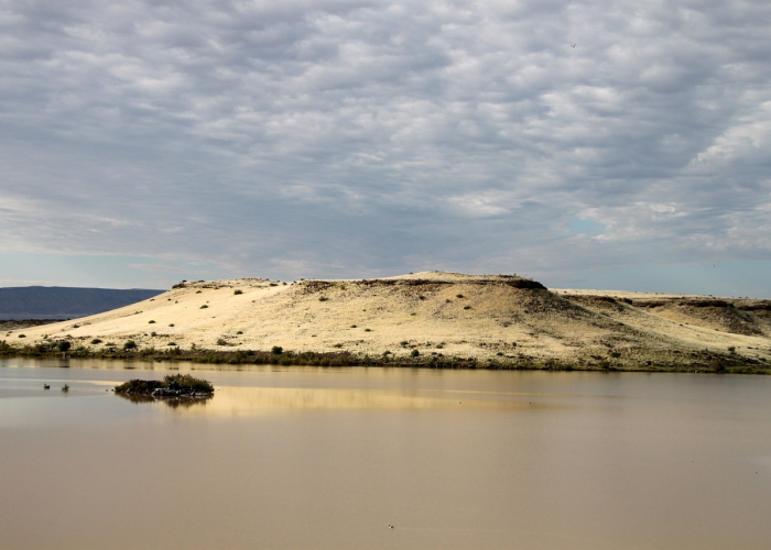 【2021年7月29日三亚密接者/三亚 密接】