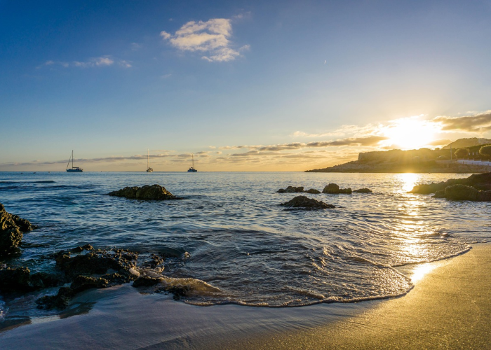 全球新冠疫情最新动态，变异株传播、防控策略调整与长期影响