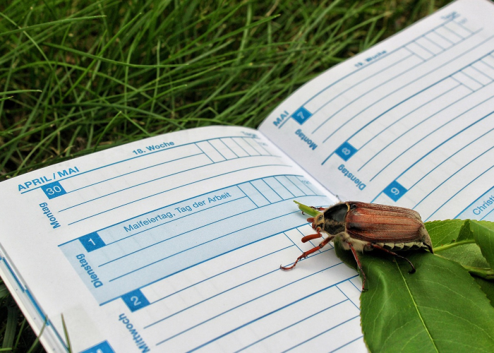 【陕西新增1本土病例在那,陕西新增1例本土确诊病例在那】