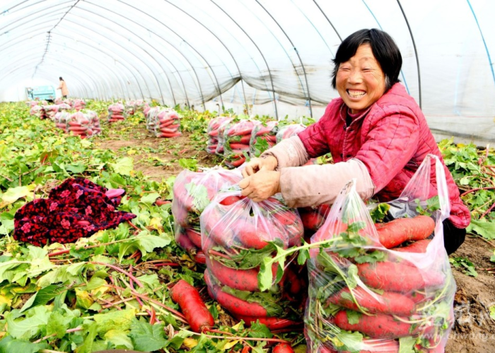 十大爆料“新蜜瓜确实有挂”(其实确实有挂)-知乎