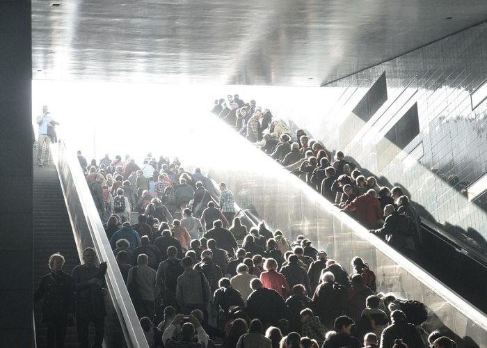 北京新增8例本土感染者是哪里的（北京 新增 本土）