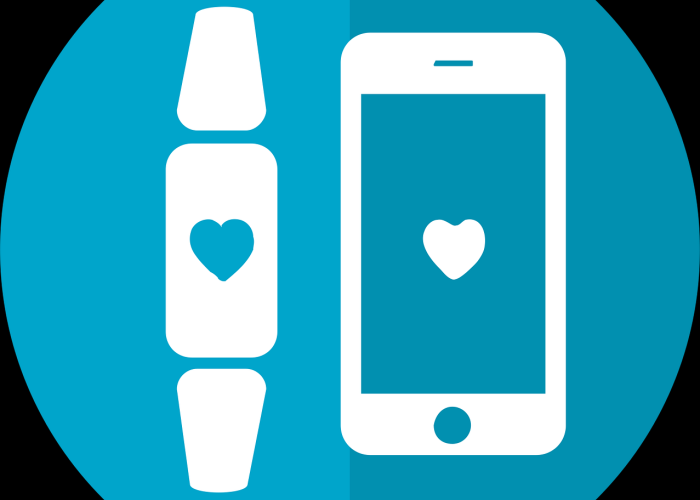 津心办app健康码官方下载(津心办怎样办理健康码) 津心办app健康码官方下载(津心办怎样办理健康码)