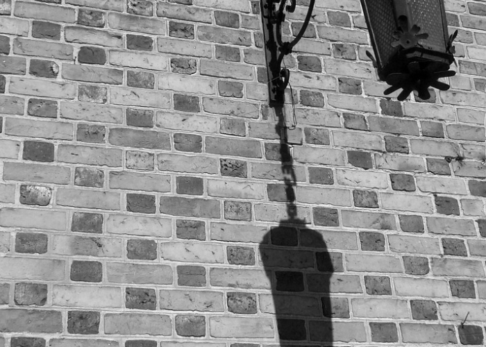 西安鼠疫最新，历史幽灵再现，现代防控体系面临新考验