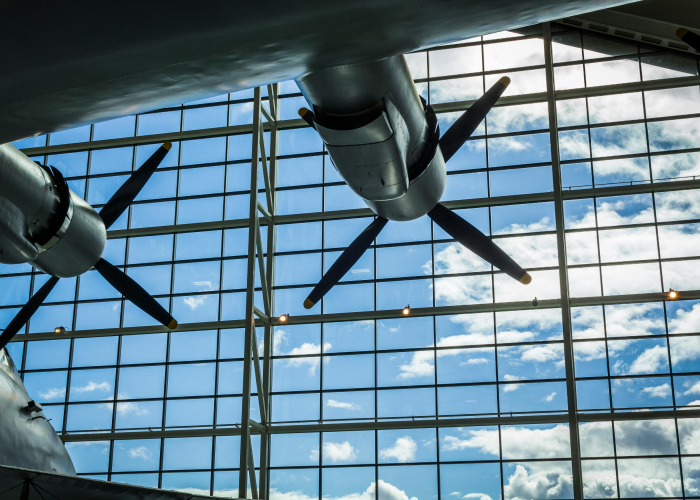 西安鼠疫最新，历史幽灵再现，现代防控体系面临新考验