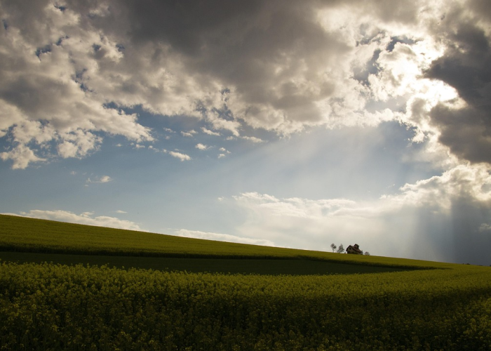 吉林感染者，冰雪下的暖流与坚韧