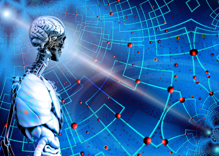 从本轮疫情数据看中国抗疫,数字背后的治理逻辑与未来挑战 从本轮疫情数据看中国抗疫,数字背后的治理逻辑与未来挑战