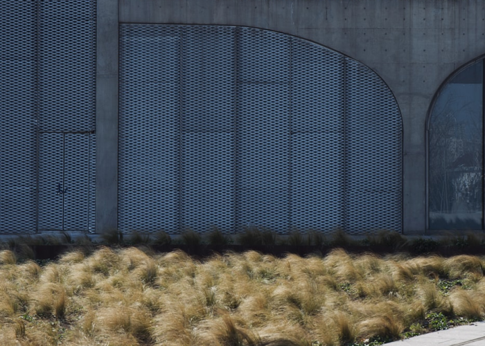 北蔡的春天，当疫情敲开上海的一扇窗